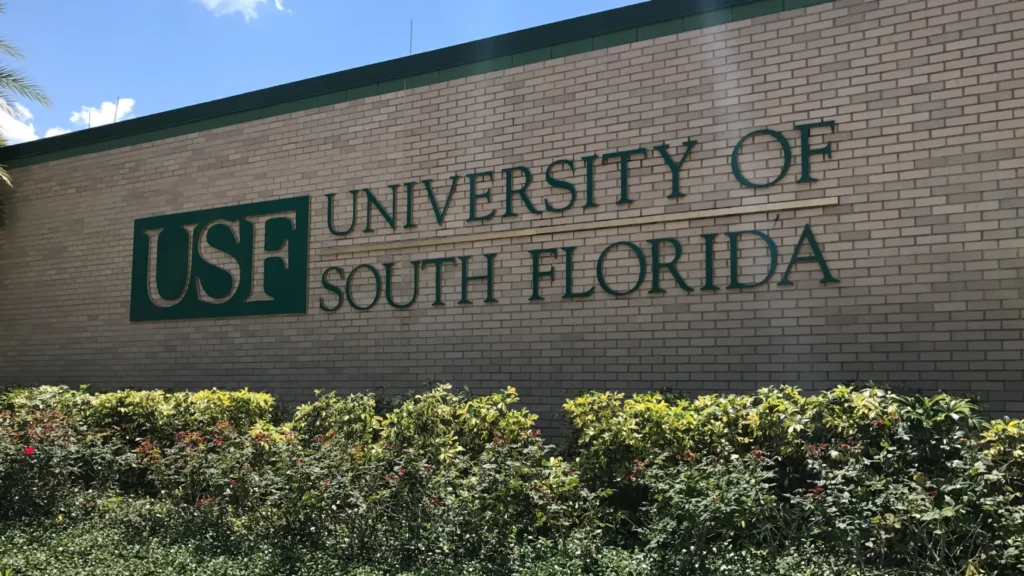 Social Work Programs offered at University of South Florida
